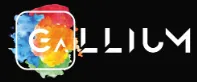 galliumventures